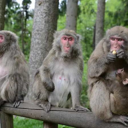 アパート Sonnhof フィラハ