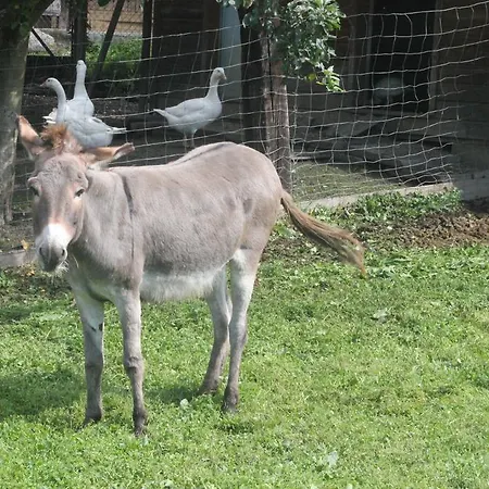 Sonnhof Apartamento Villach